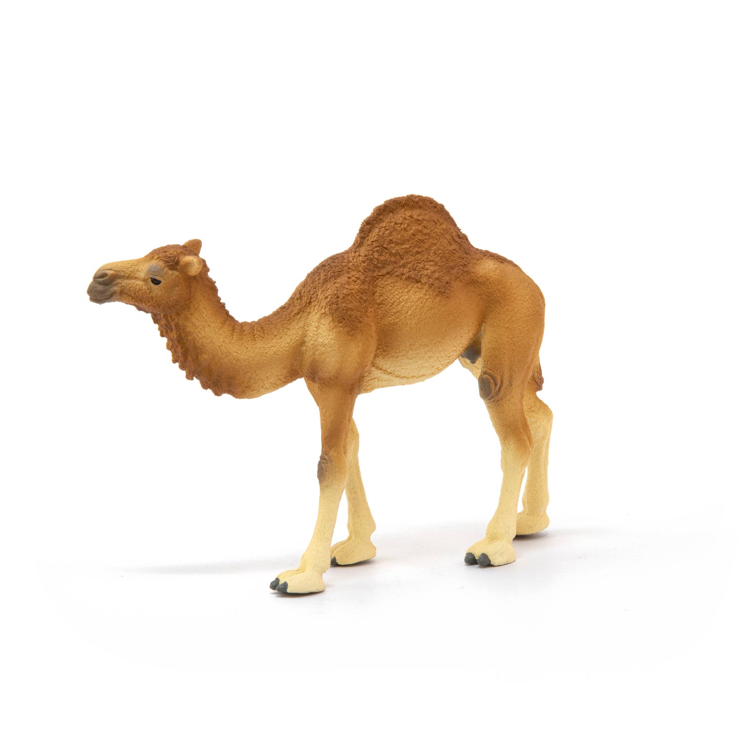 Schleich - Dromedary Animal Toy