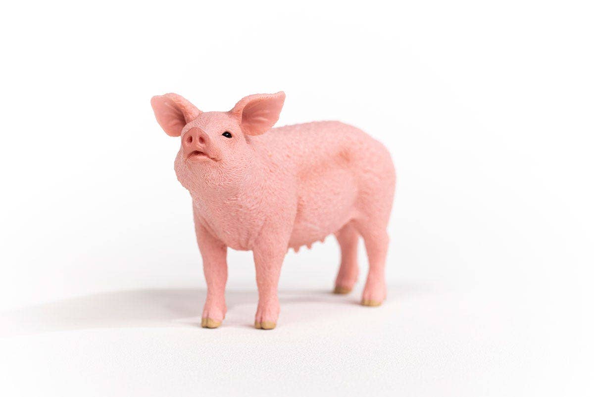 Schleich - Pig Farm Animal Toy