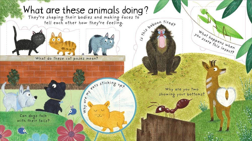 HarperCollins - First Questions and Answers: How Do Animals Talk?