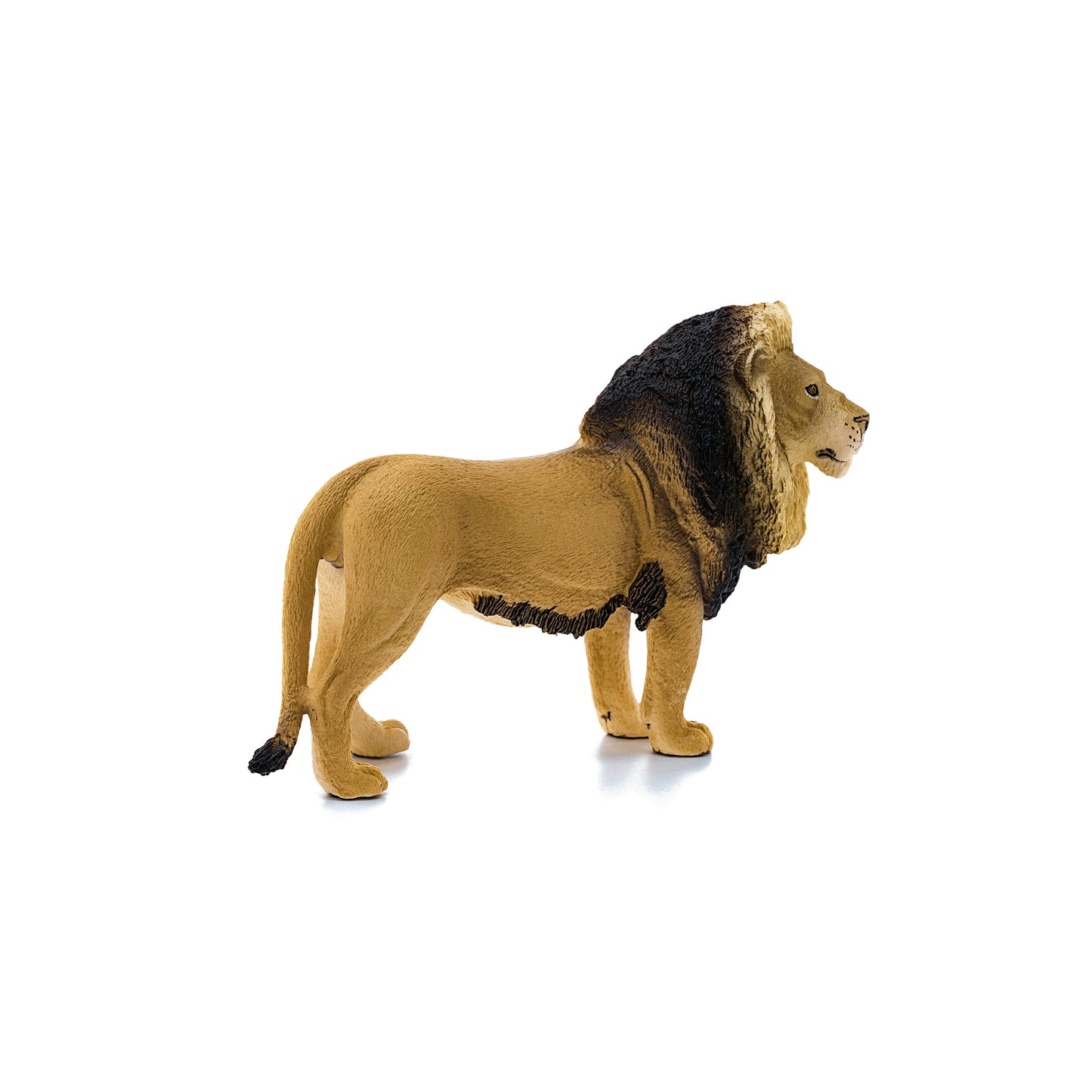 Schleich - Lion Safari Animal Toy