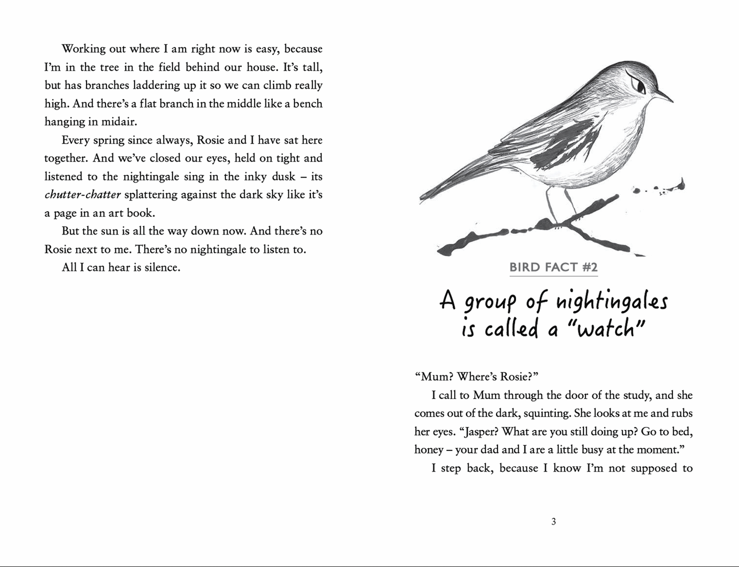 EDC Publishing - The Hunt for the Nightingale