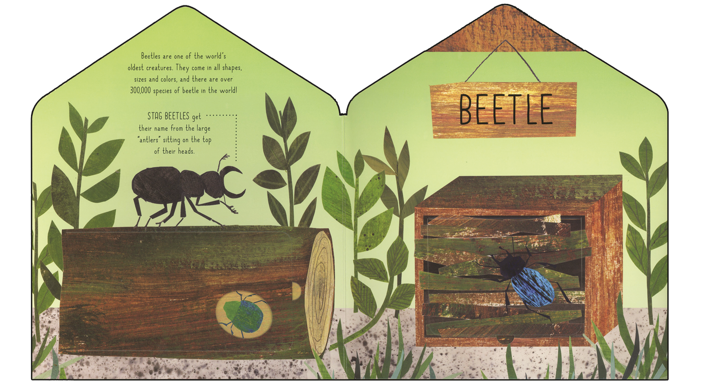 EDC Publishing - Bug Hotel