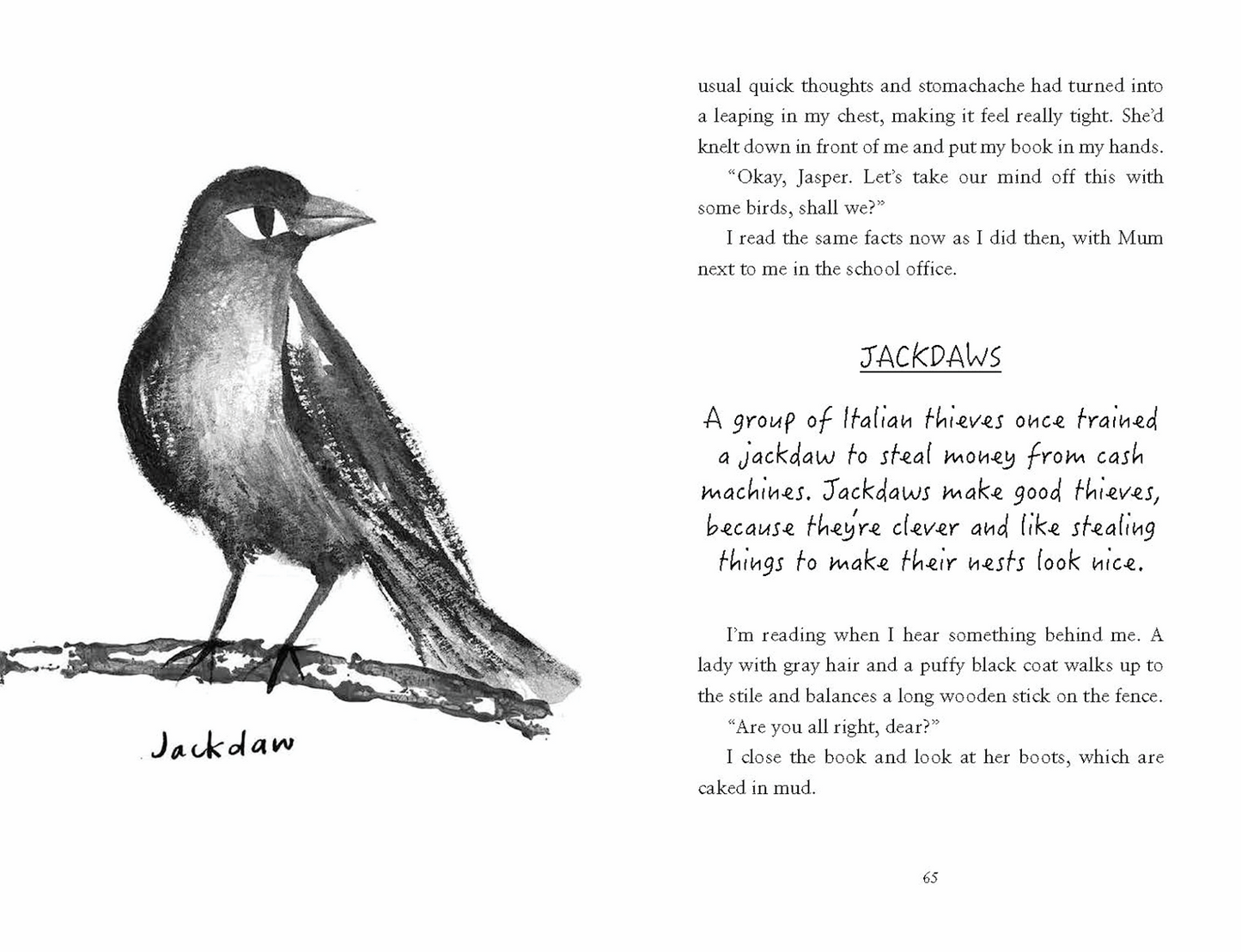 EDC Publishing - The Hunt for the Nightingale