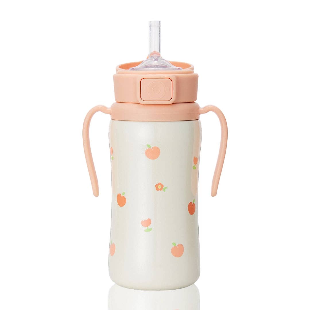 zezebaebae (Grosmimi and Cha&Mom) - Grosmimi Stainless Steel Straw Cup with Flip Top - 10oz (300ml): Air Balloon_Blue