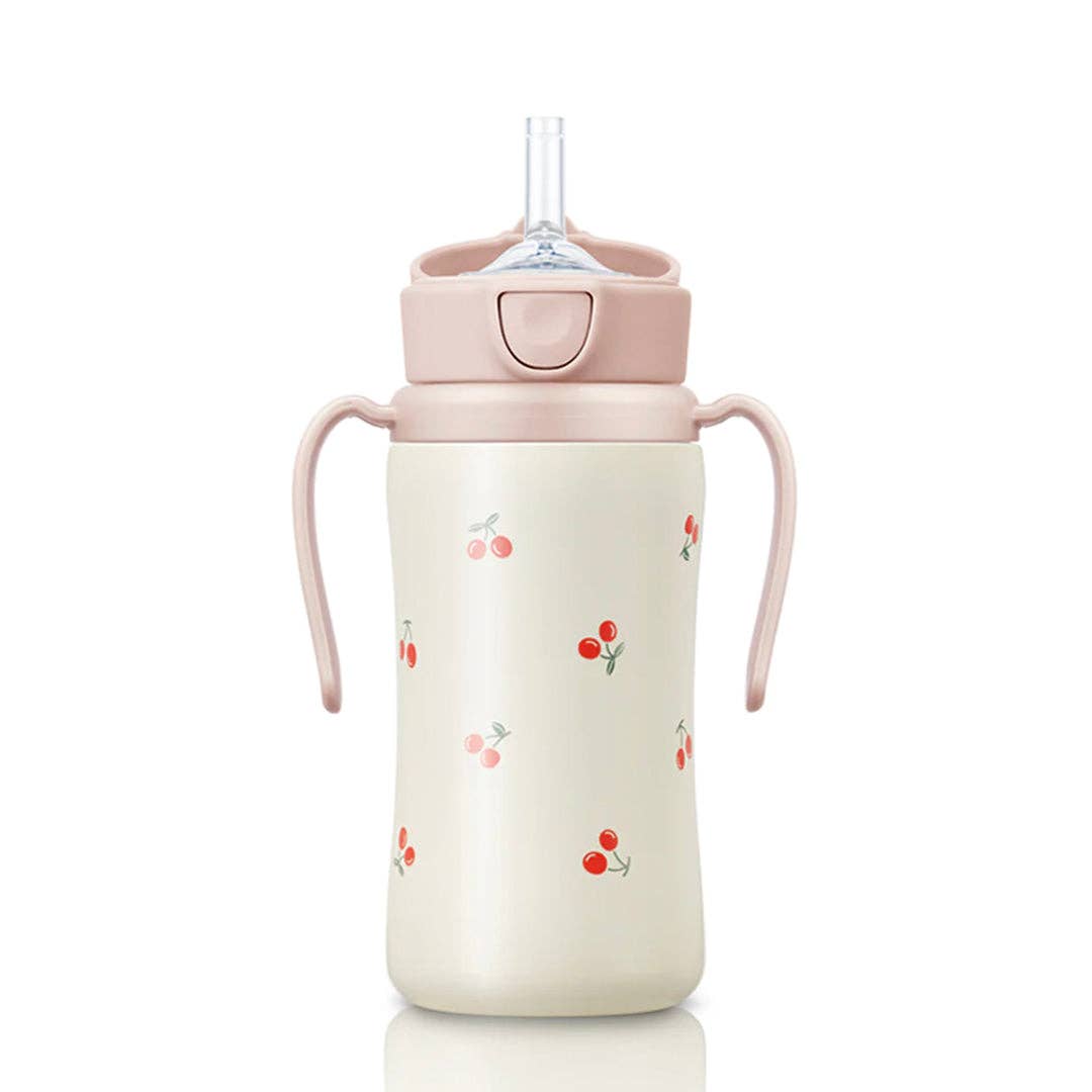 zezebaebae (Grosmimi and Cha&Mom) - Grosmimi Stainless Steel Straw Cup with Flip Top - 10oz (300ml): Air Balloon_Blue