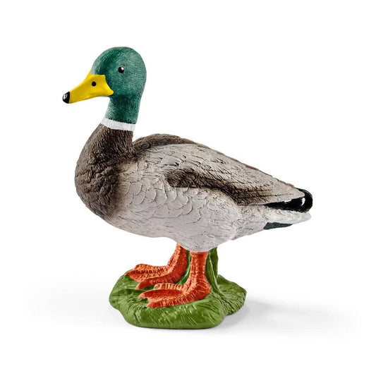 Schleich - Drake Farm Animal Toy