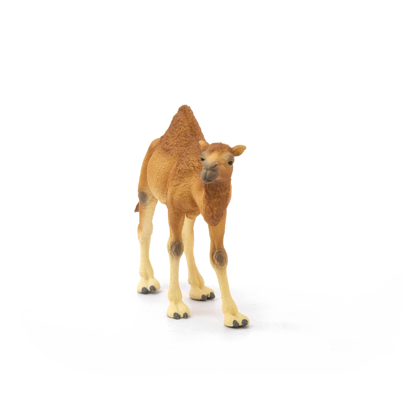 Schleich - Dromedary Animal Toy