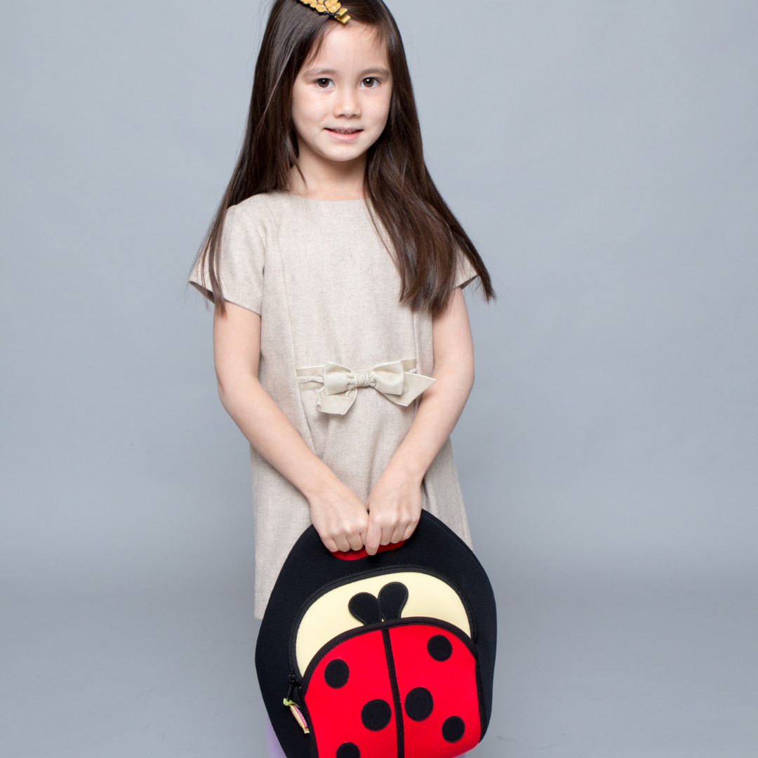 Dabbawalla Bags - Lunch Bag - Ladybug - On Sale!