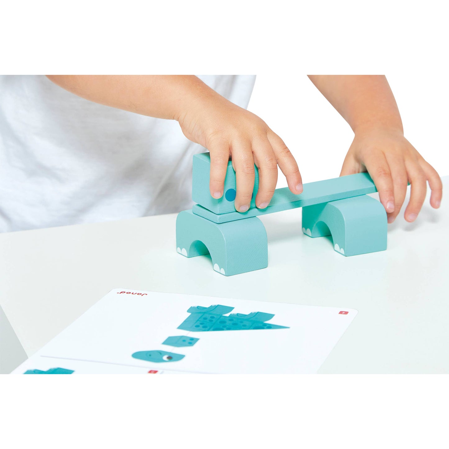 Janod - Dino | Cubikosaurus | Dinosaurs to Build | Early development