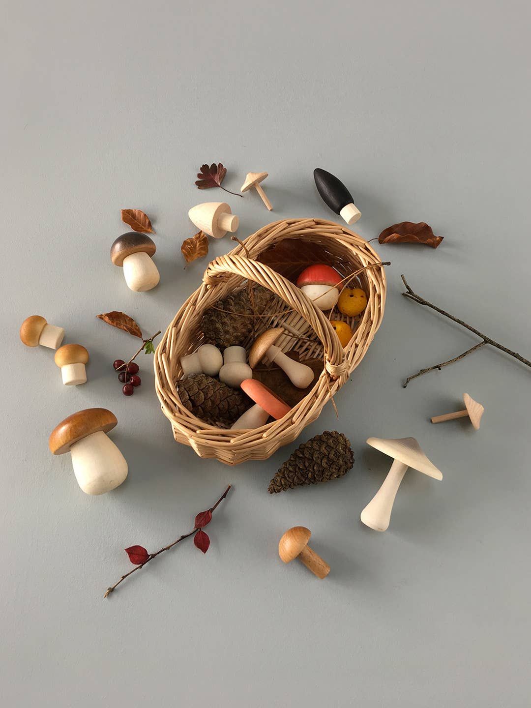 Moon Picnic - Forest Mushrooms Basket