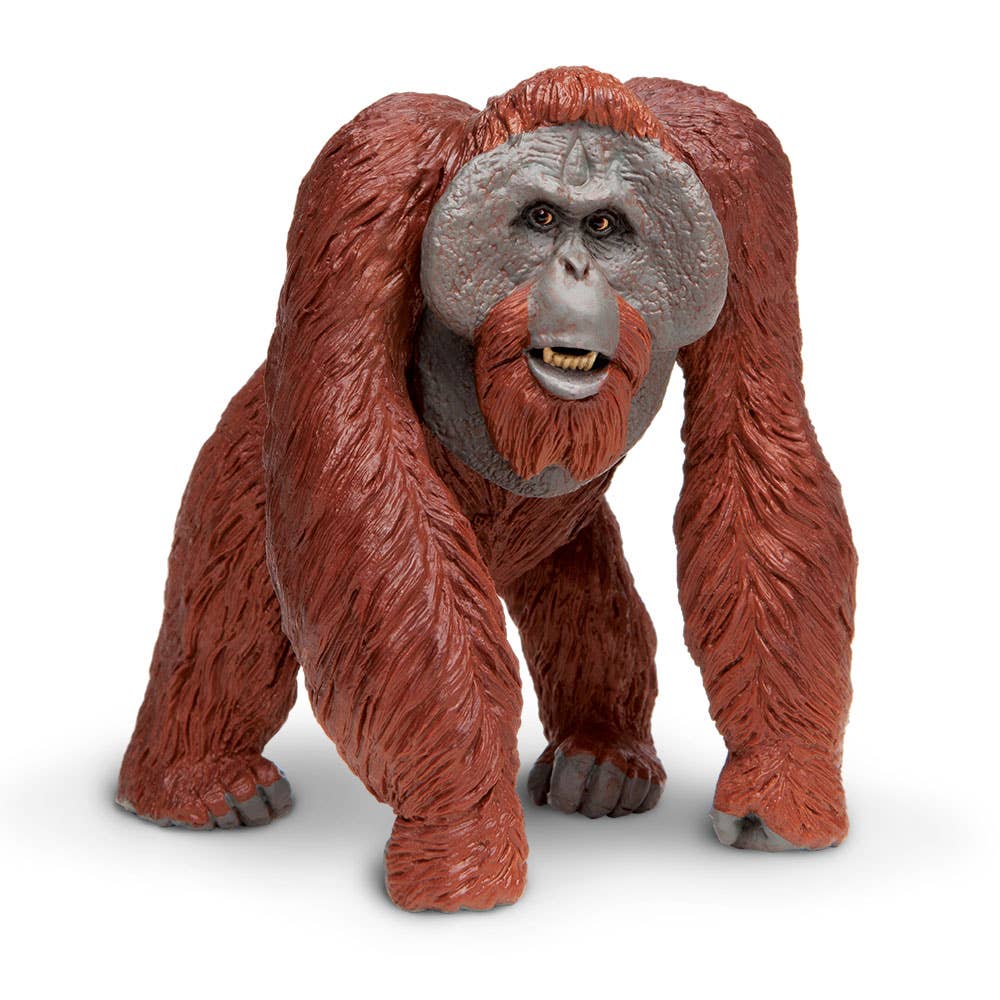 Safari Ltd. - Bornean Orangutan - 112289