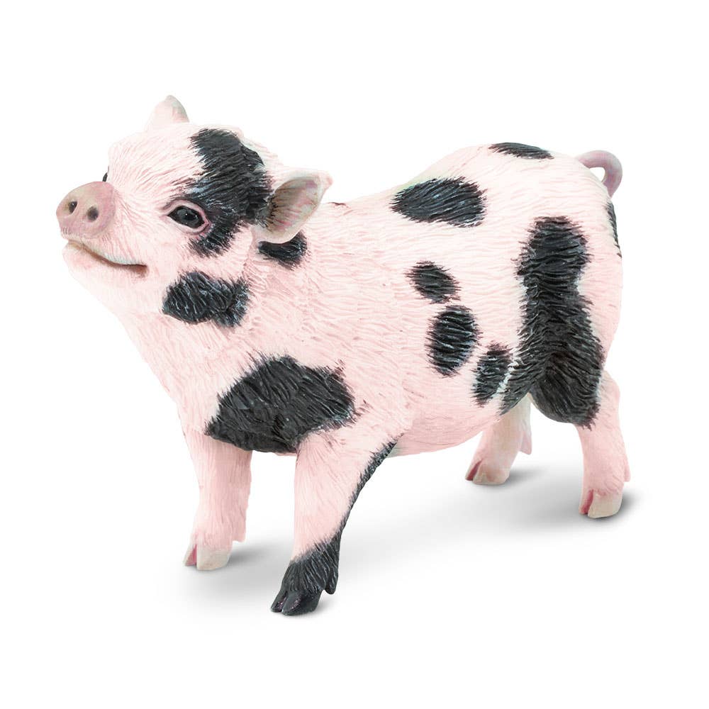 Safari Ltd. - Pot - Bellied Pig - 266029