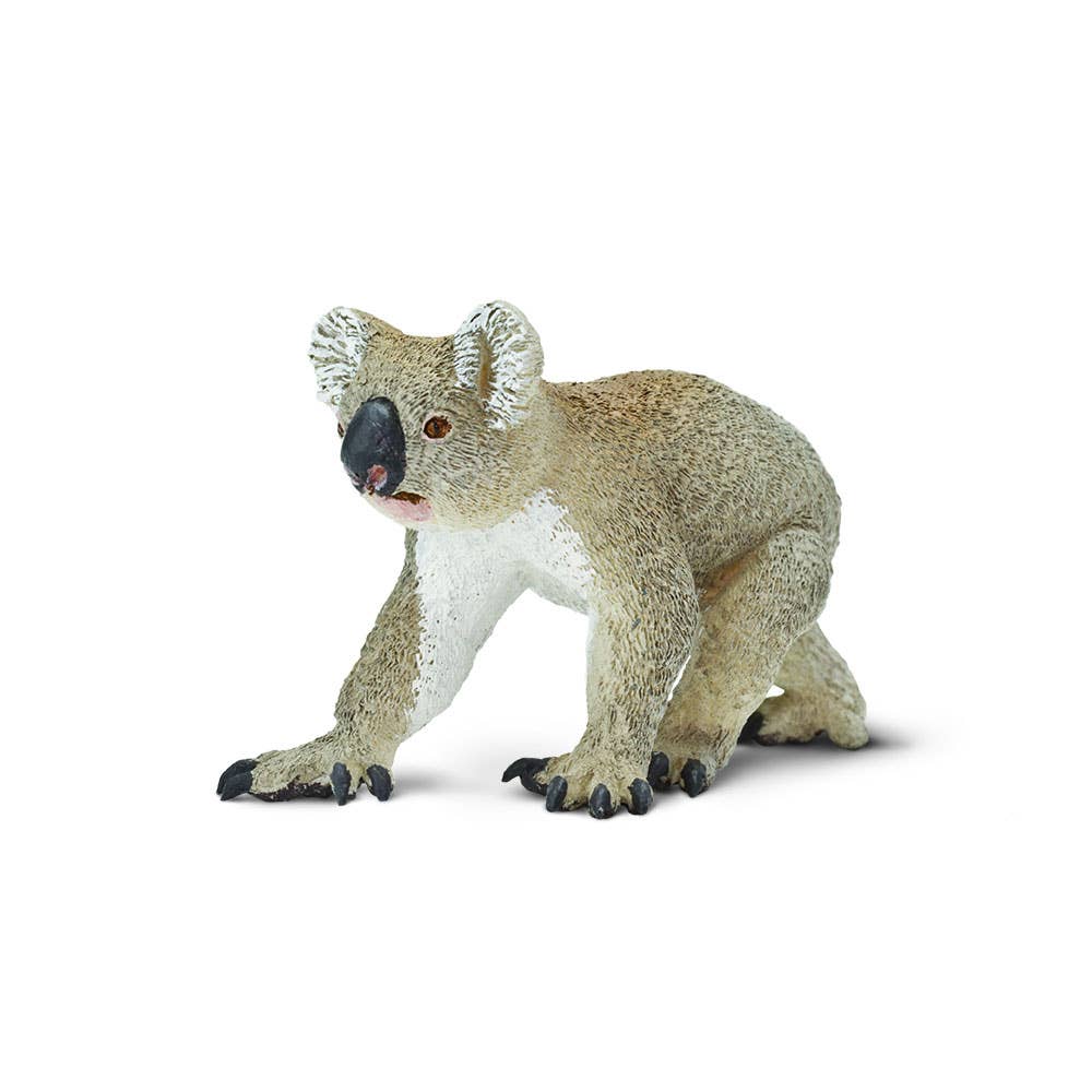 Safari Ltd. - Koala - 225329