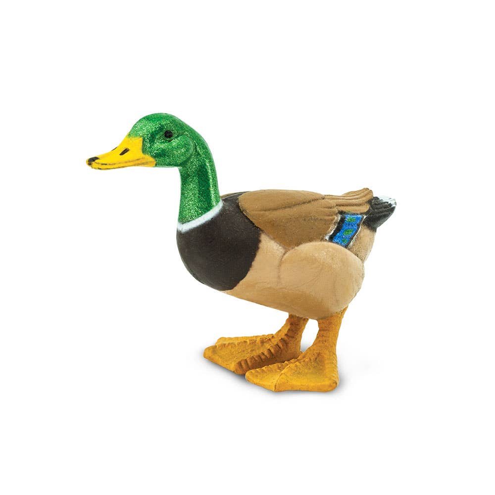 Safari Ltd. - Duck - 233229