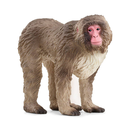 Schleich - Japanese Macaque  Animal Toy