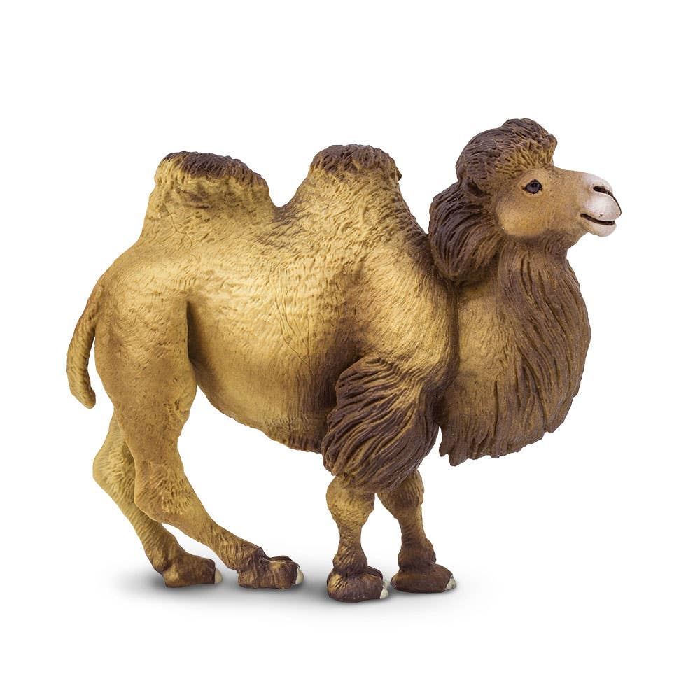 Safari Ltd. - Bactrian Camel - 290929