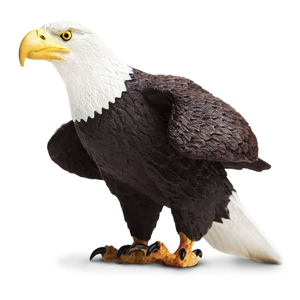 Safari Ltd. - Bald Eagle - 251029