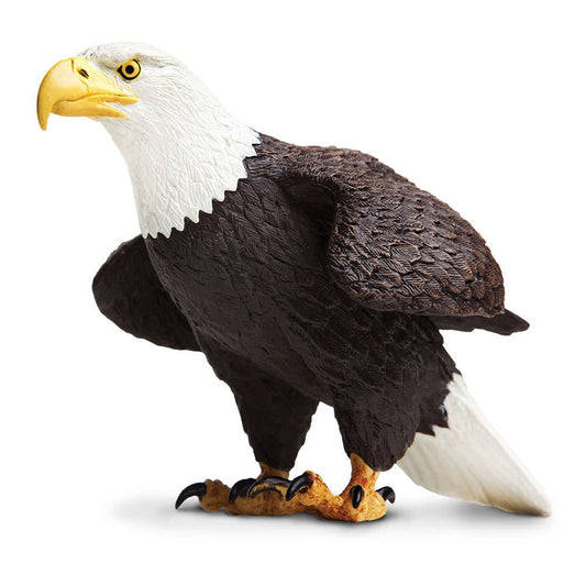 Safari Ltd. - Bald Eagle - 251029