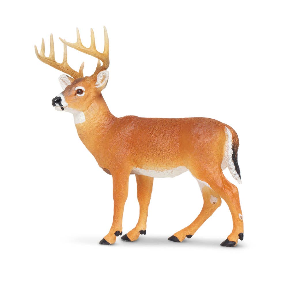 Safari Ltd. - Whitetail Buck - 180029