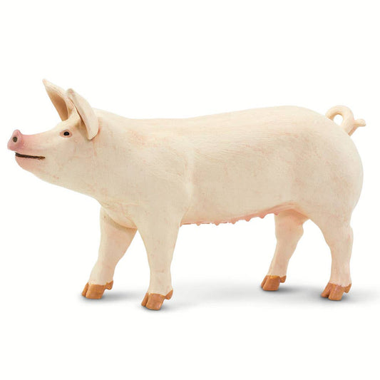 Safari Ltd. - Large White Pig - 100269