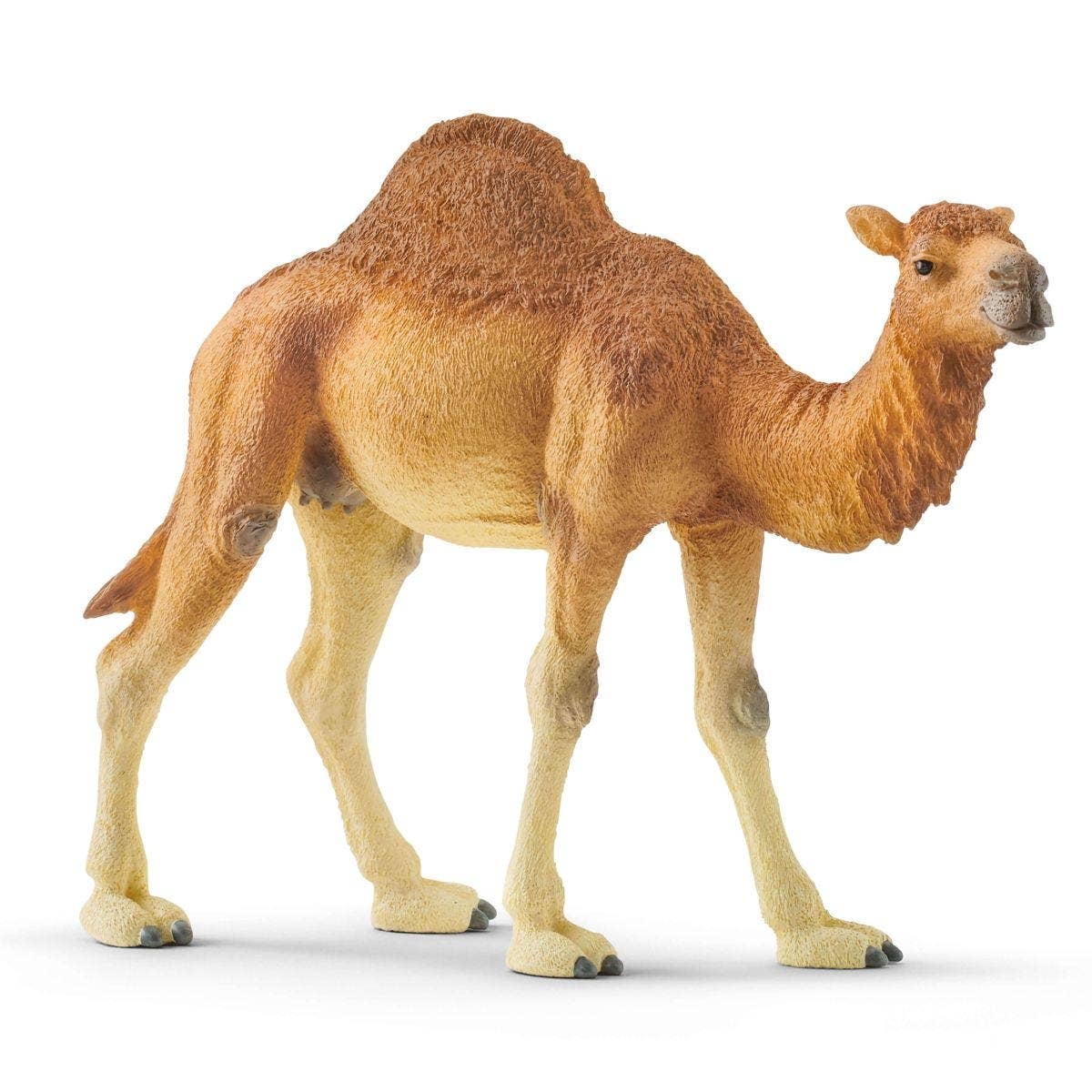 Schleich - Dromedary Animal Toy