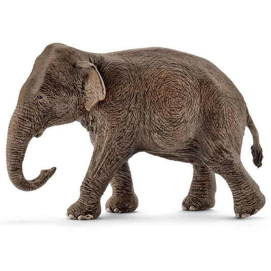 Schleich - Asian Elephant, Female Safari Animal Toy