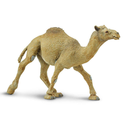 Safari Ltd. - Dromedary Camel - 222429