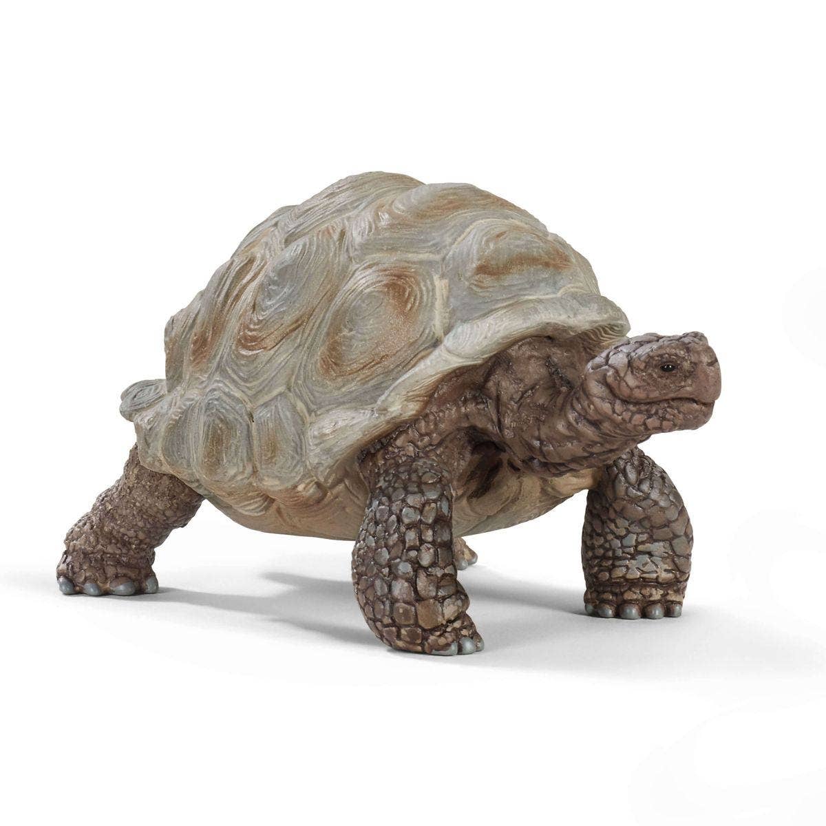 Schleich - Giant Tortoise Animal Toy