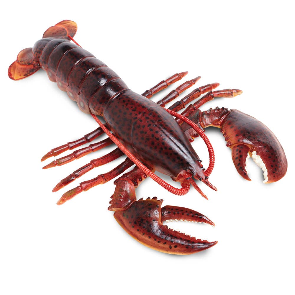 Safari Ltd. - Maine Lobster - 281629