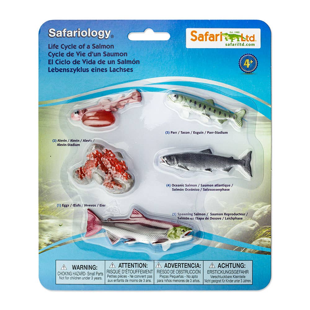 Safari Ltd. - Life Cycle Of A Salmon - 100267