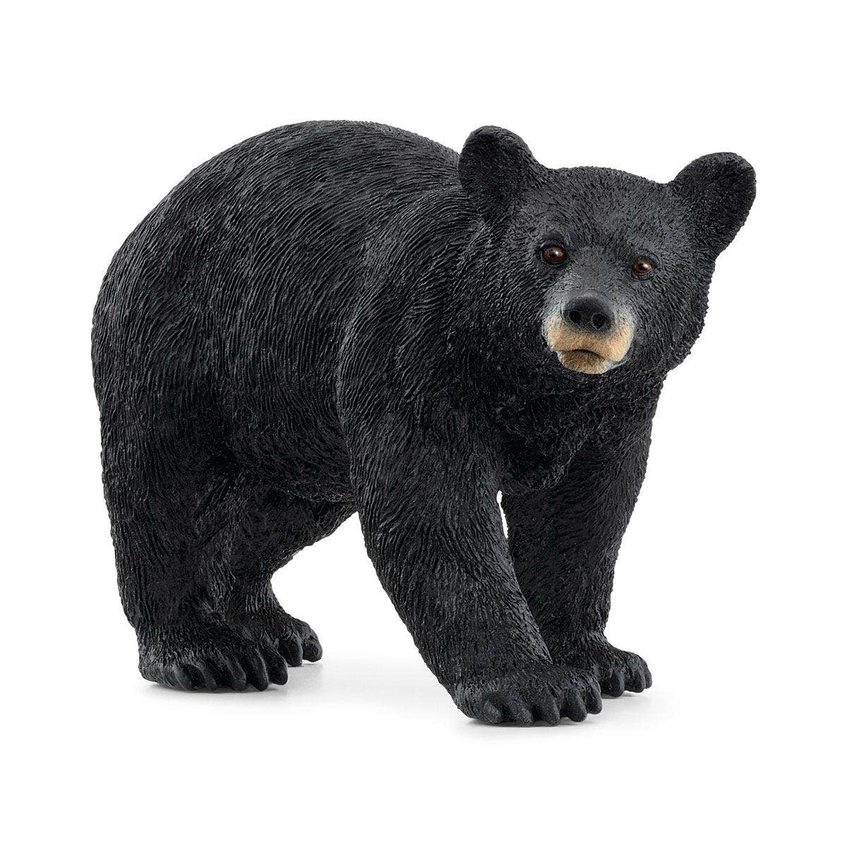 Schleich - American Black Bear Animal Toy