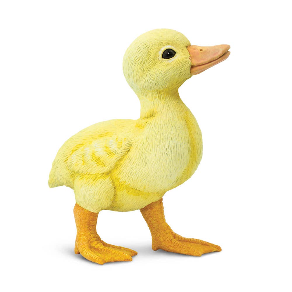 Safari Ltd. - Duckling - 265829