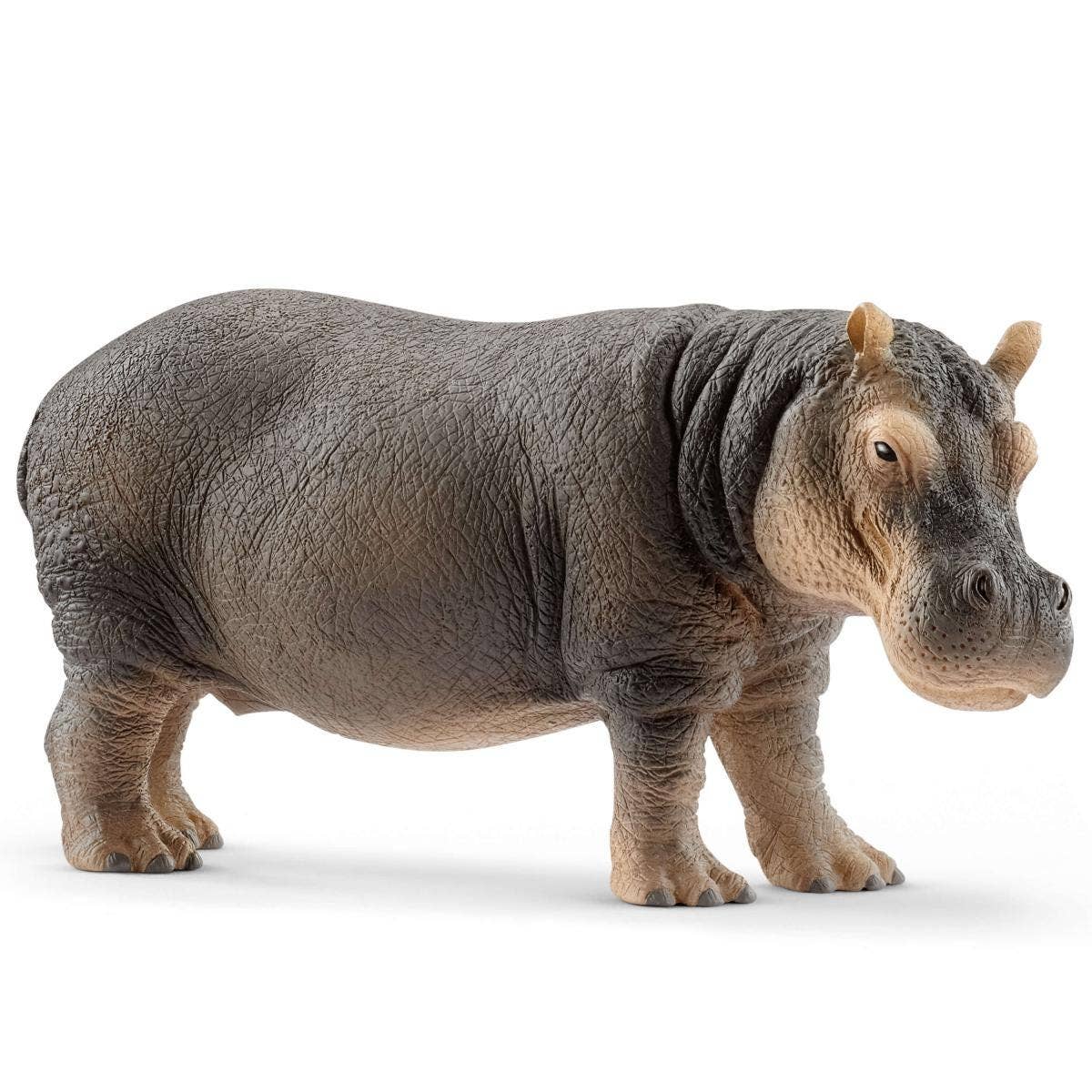 Schleich - Hippopotamus Safari Animal Toy