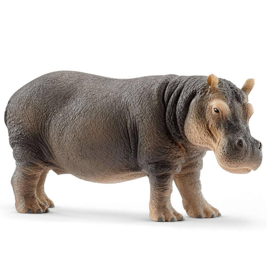 Schleich - Hippopotamus Safari Animal Toy