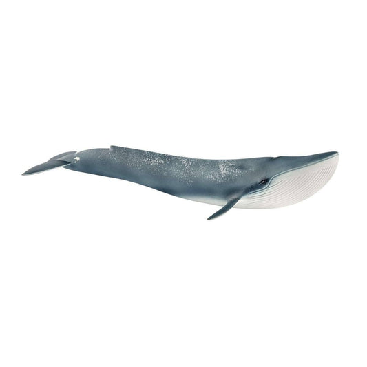 Schleich - Blue Whale Ocean Animal Toy