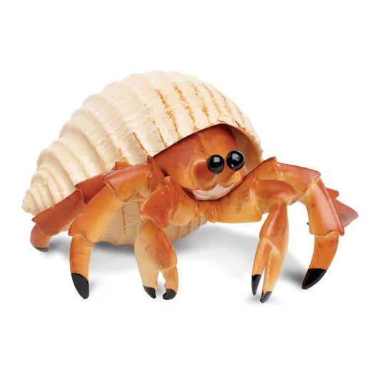 Safari Ltd. - Hermit Crab - 267529