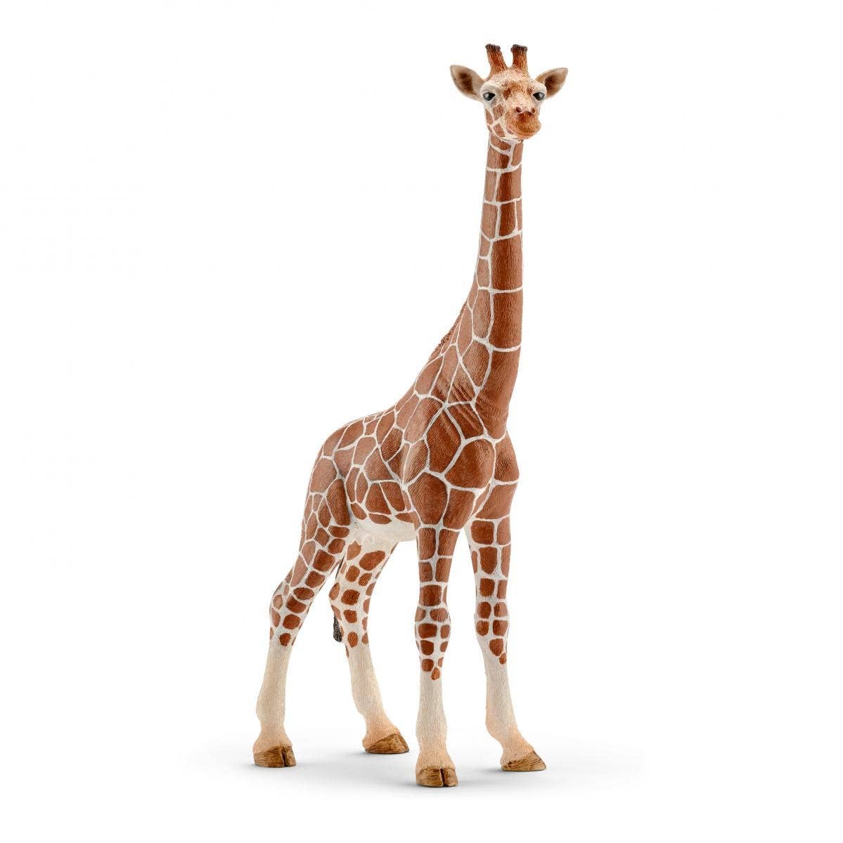 Schleich - Giraffe, Female Safari Animal Toy